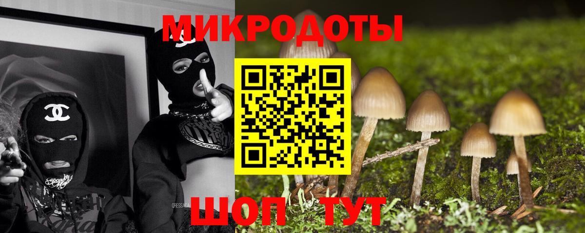 Псилоцибиновые грибы GOLDEN TEACHER Менделеевск