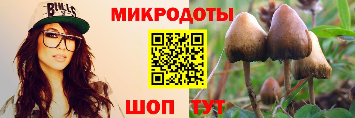 Менделеевск  Псилоцибиновые грибы прущие грибы  Галлюциногенные грибы ЛСД  Вход с VPN 